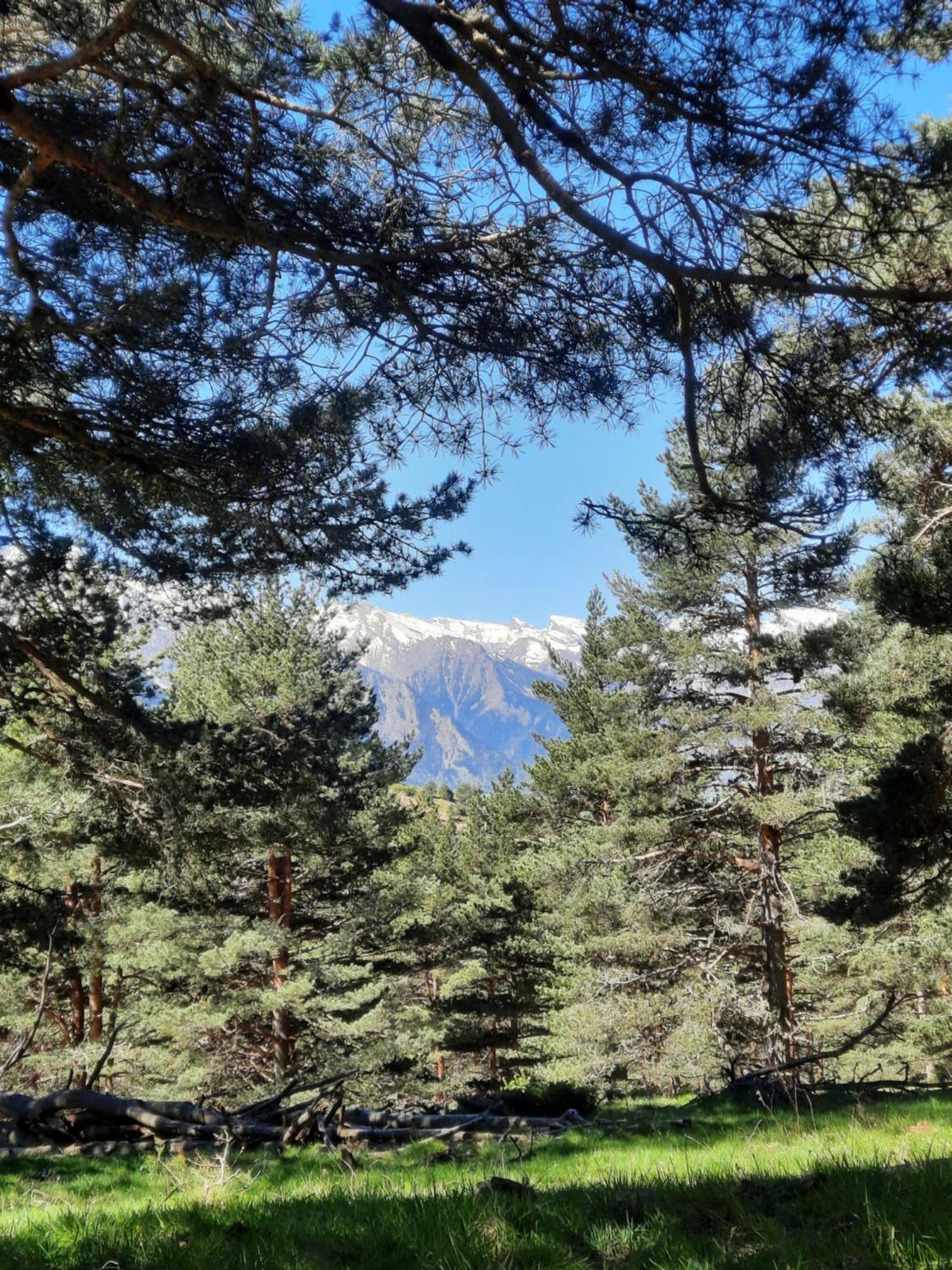 Appart Montagne 3 Etoiles Saint-Lary Station Сен-Лари-Сулан Екстериор снимка
